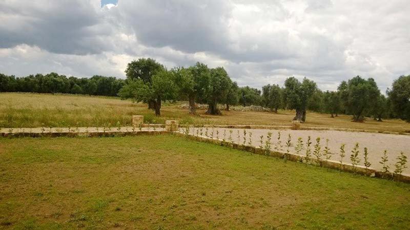 Farm stay Masseria Cricelli *